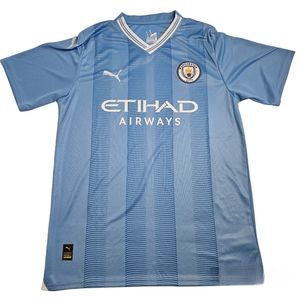 Manchester City Home Jersey Fan Version Large 2023/24